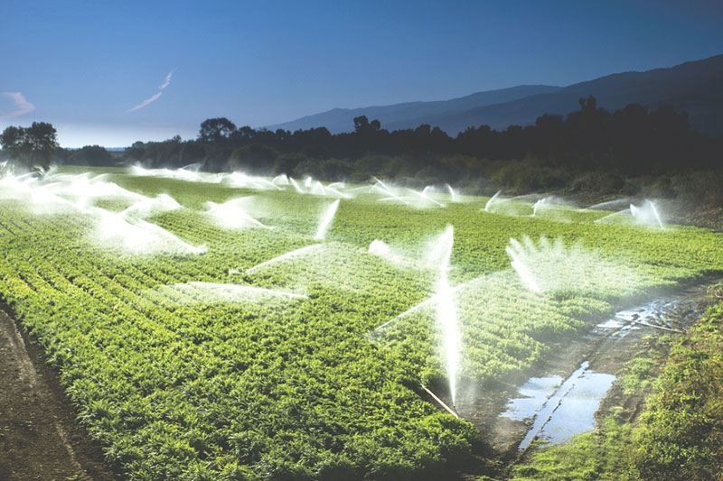 Farmland sprinkling